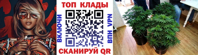 Купить наркоту Иноземцево Канабис АМФ А ПВП МЕФ ГАШ КОКАИН