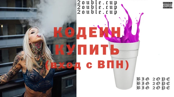 гашик Мегион