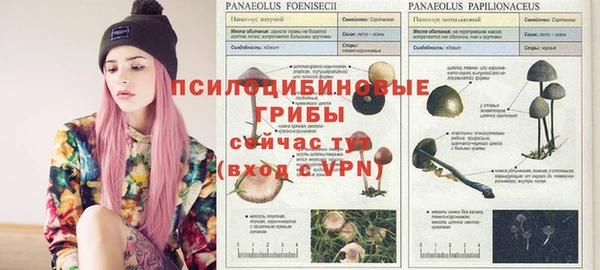 экстази Трёхгорный
