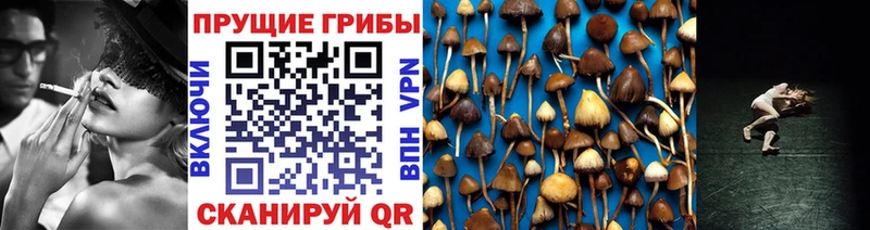Псилоцибиновые грибы мухоморы где купить наркотик kraken Иноземцево